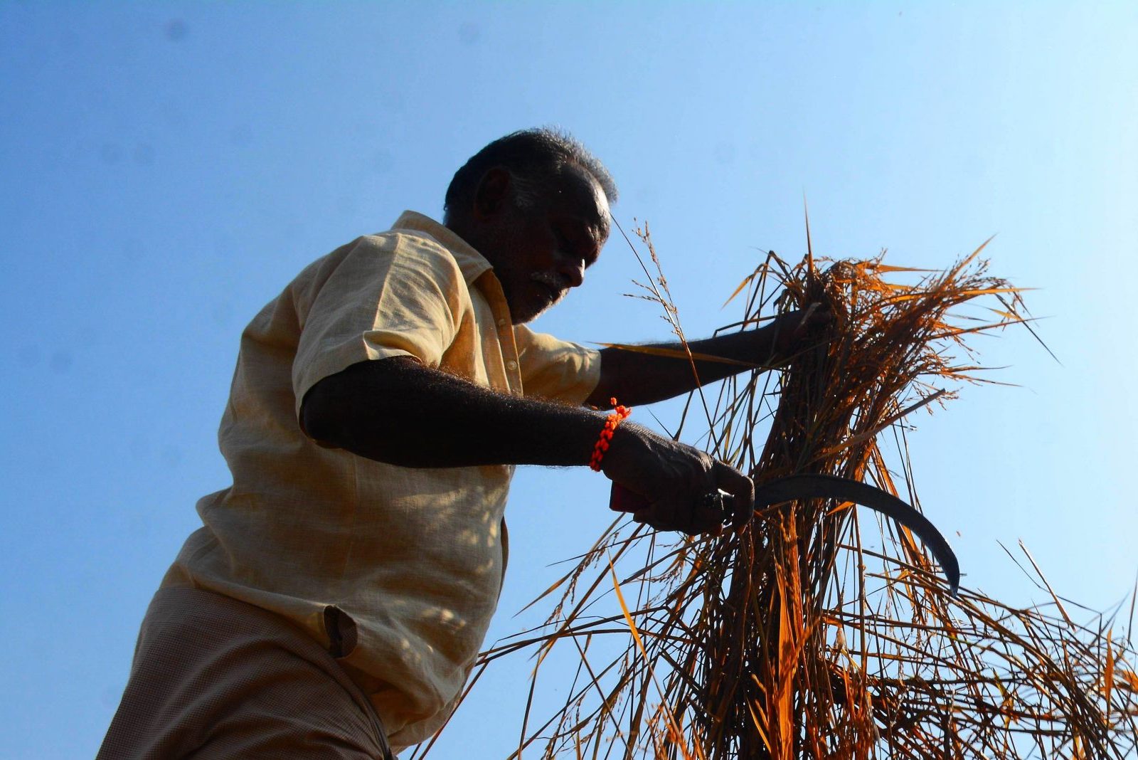 India could be the biggest casualty of the Iran war