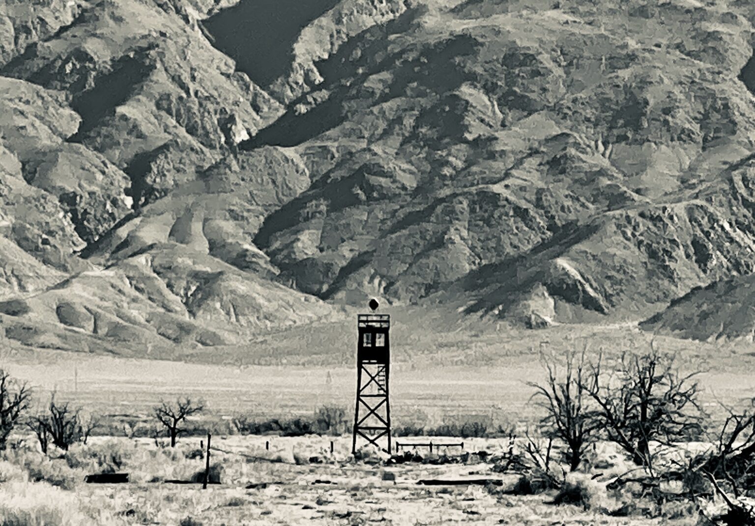 Japanese Americans used nature to cope with WW II imprisonment