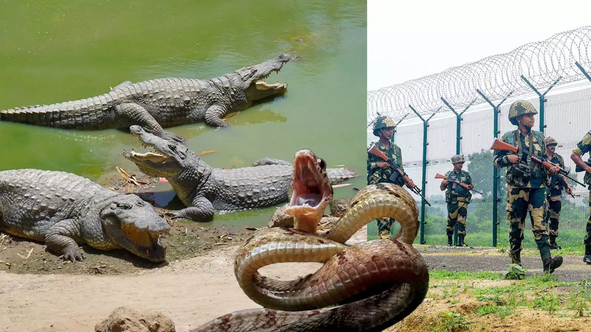 Ketegangan India-Bangladesh Memanas — Imbas ke Tekstil & Sentimen Pasar Indonesia