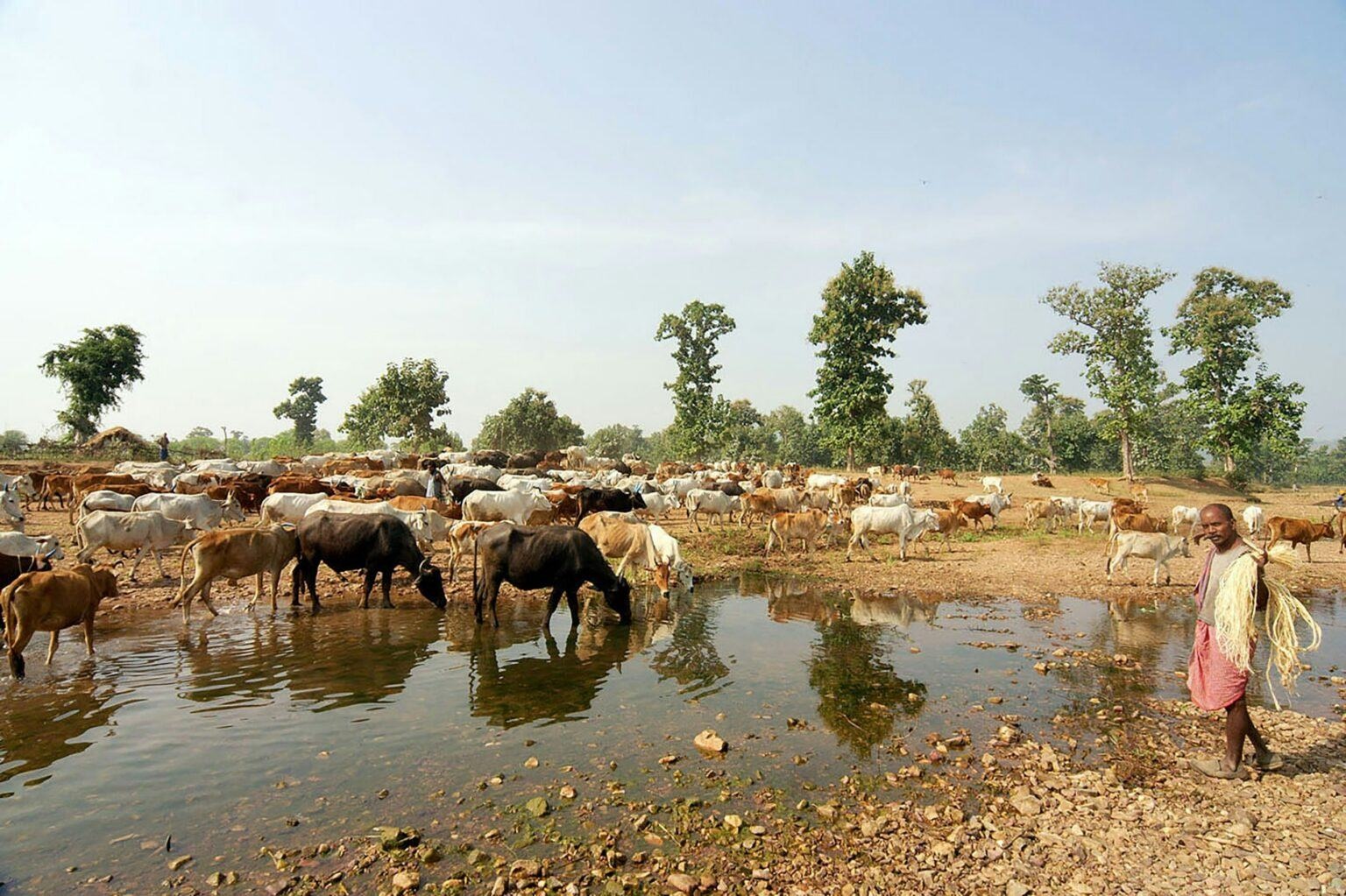 India’s environmental crisis undermines its great-power ambitions