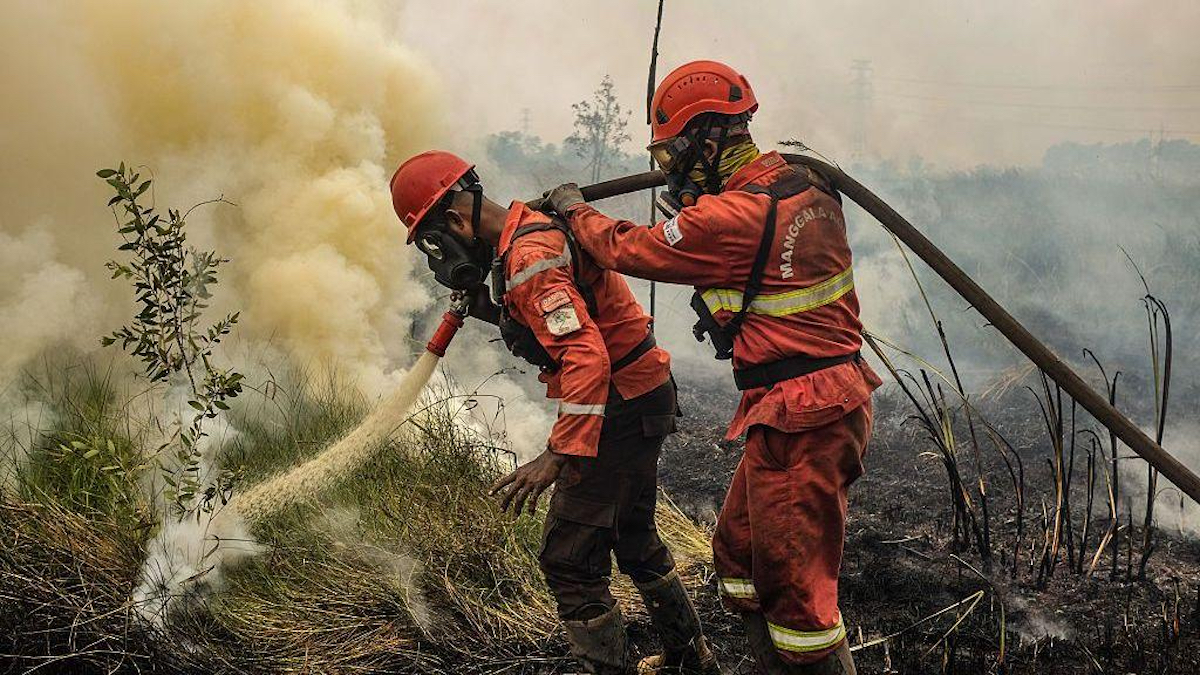 Indonesia excluded from new international firefighting fund - News Directory 3
