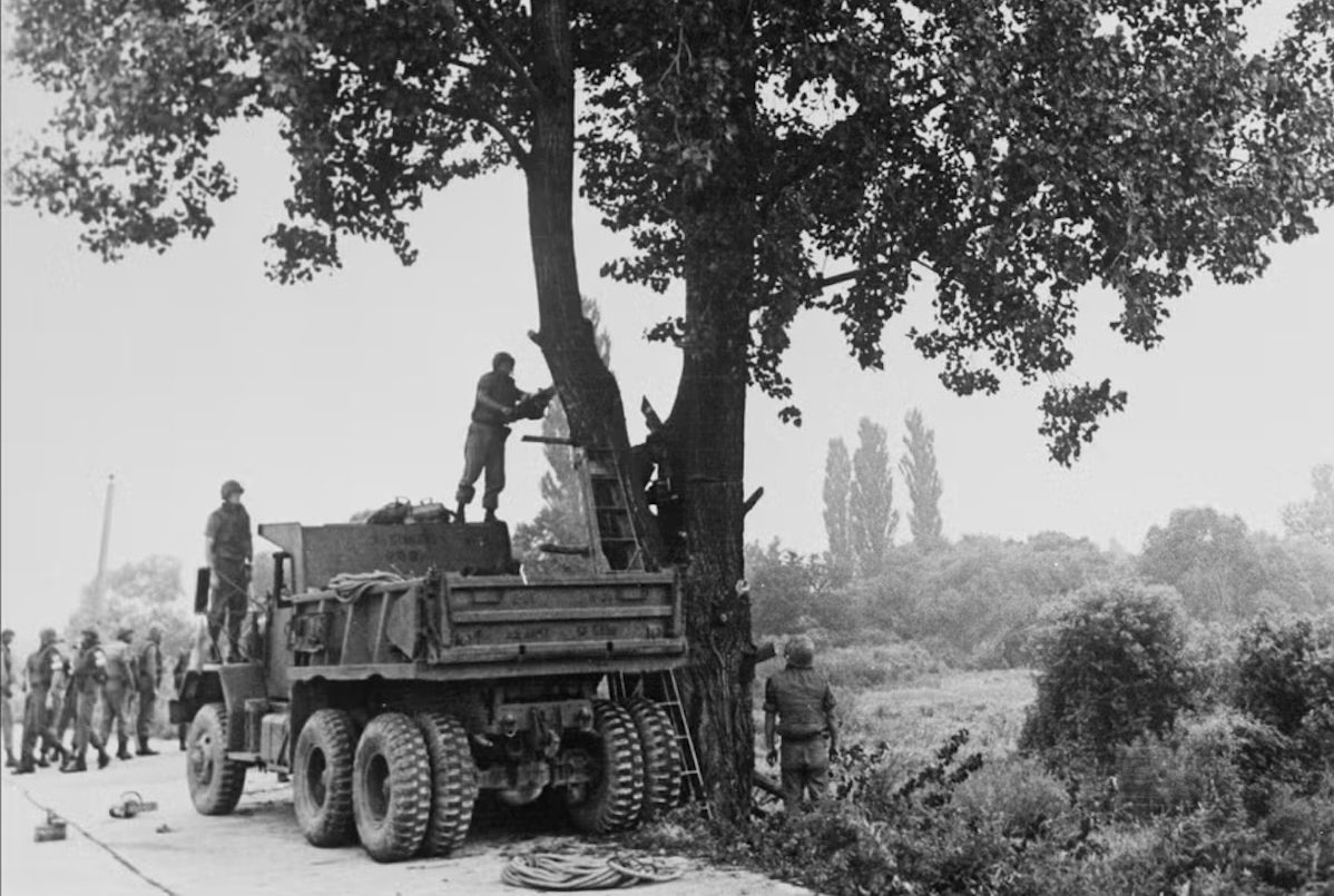 The Tree at Panmunjom vividly revisits 1976 tensions
